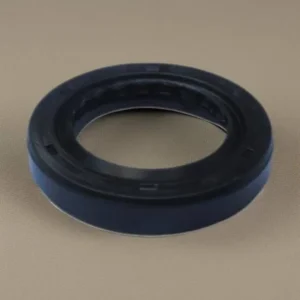 Magneto Oil seal for Click