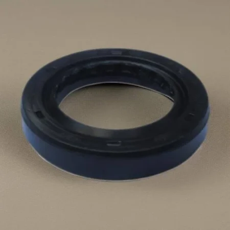 shopping (19) Magneto Oil seal for Click